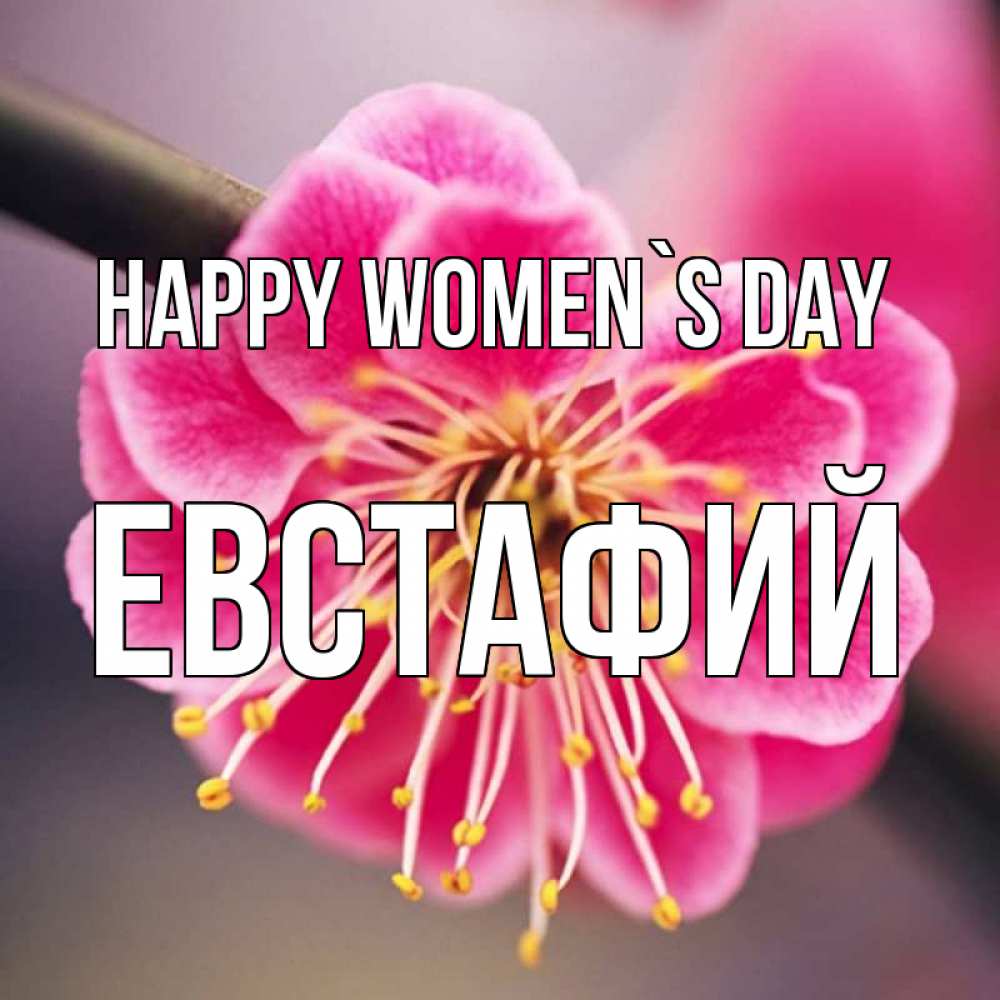 Greetings card с именем, Евстафий happy women`s day цветы Greetings with text for free download 